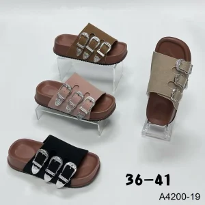 a4200 19 1