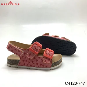 c4120 747 1
